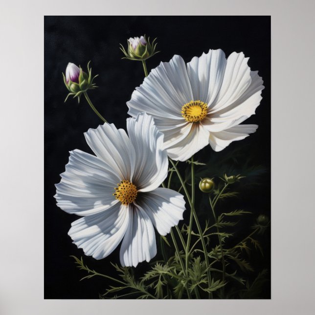 White Cosmos Flowers Art Print Poster (Front)