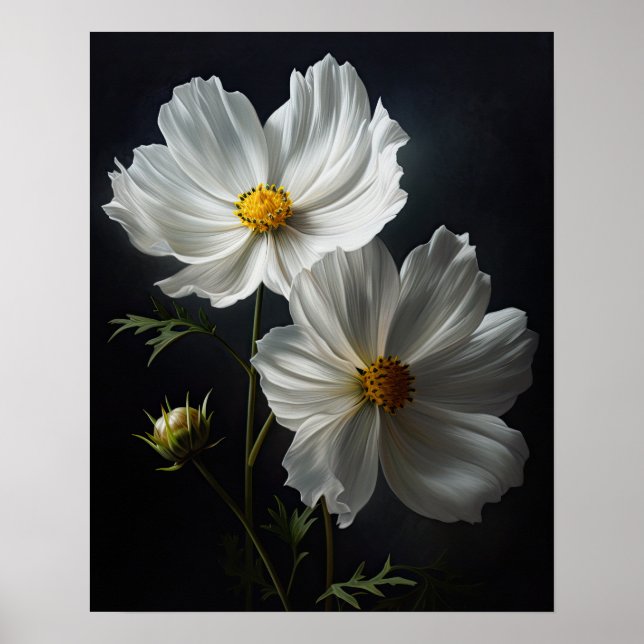 White Cosmos Flowers Art Print Poster (Front)