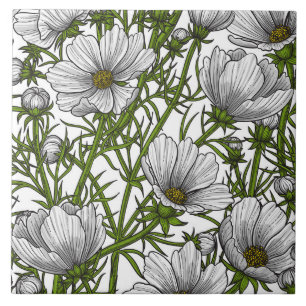 White cosmos flowers ceramic tile