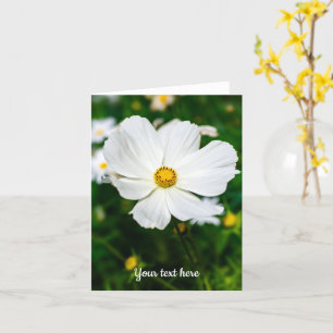 White Cosmos Greeting Card