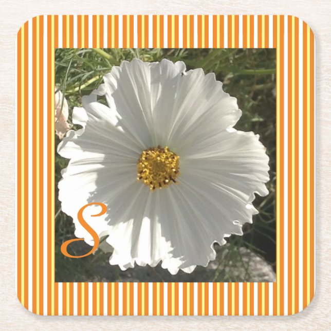 White Cosmos Paper Coaster (Front)
