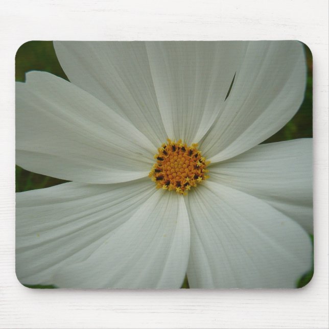 White Cosmos Summer Wildflower Floral Mouse Pad (Front)