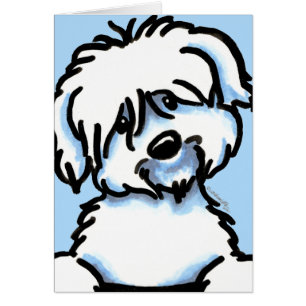 White Coton de Tulear Face