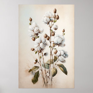 White Cotton Flowers Art Print Poster