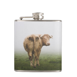 White Cow Bull looking Back in a Foggy Field Hip Flask