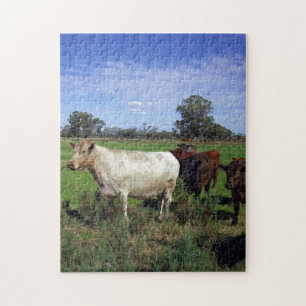 White Cow Leading A Herd, Jigsaw Puzzle