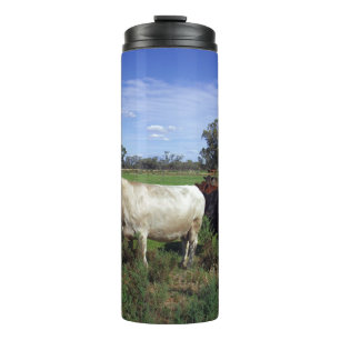 White Cow Leading The Herd, Thermal Tumbler