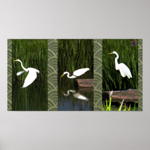 White Crane Triptych (Egret) Poster