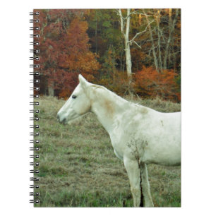 White Cream Horse in an Autumn Field Notebook