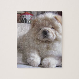 White Cream Puff Chow Chow Puppy Jigsaw Puzzle