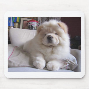 White Cream Puff Chow Chow Puppy Mouse Pad