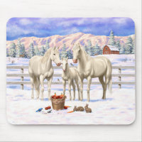 White Cremello Quarter Horses In Snow