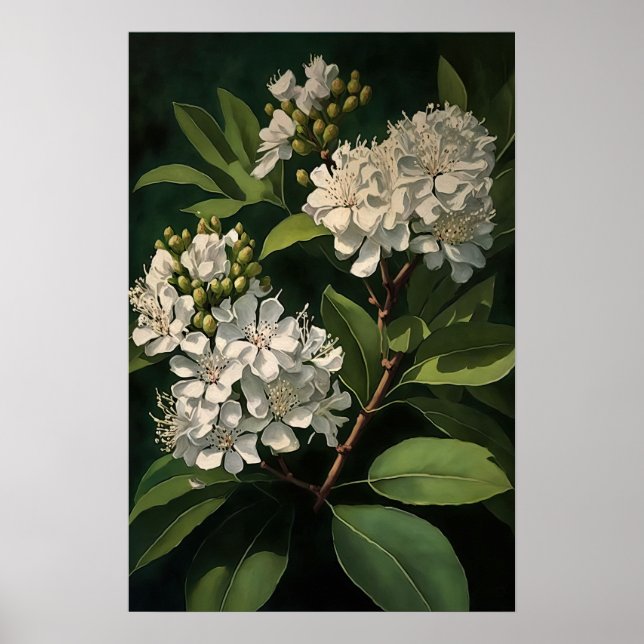 White Crepe Myrtle Flowers Art Print Poster (Front)
