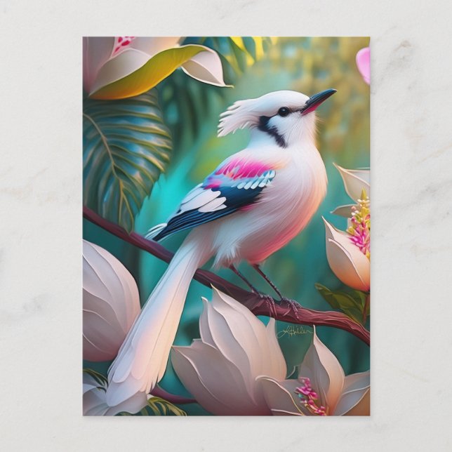 White Crested Blush Chested Fantasy Bird Postcard (Front)