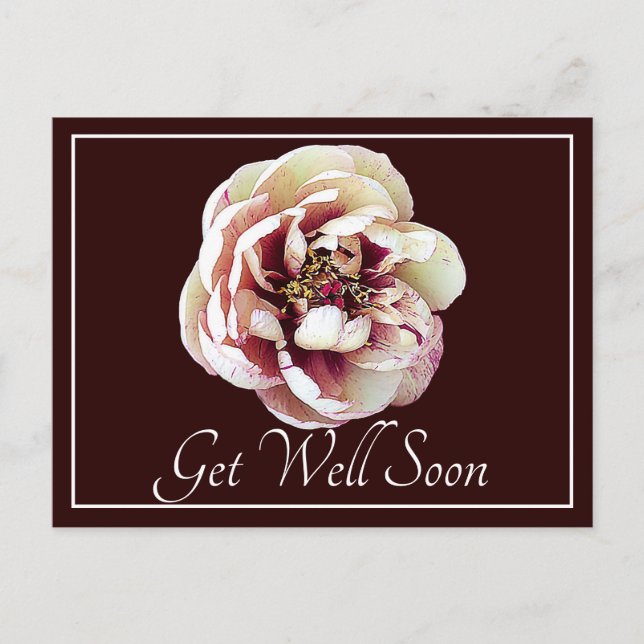 White & Crimson Peony Wine Background Get Well Postcard (Front)