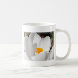 white crocus flower coffee mug
