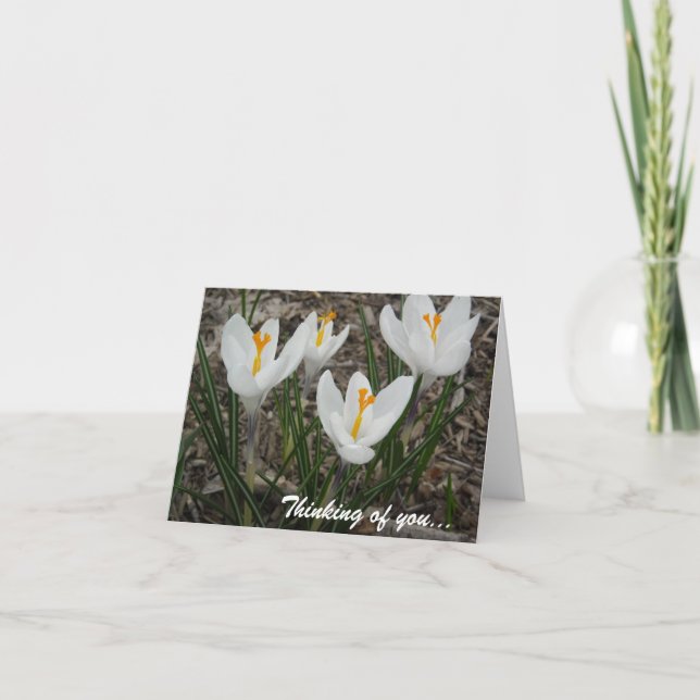 White Crocuses Card (Front)