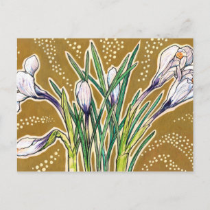 White Crocuses Garden Flowers Botanical Floral Art Postcard
