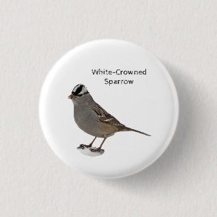 White-Crowned Sparrow 3 Cm Round Badge