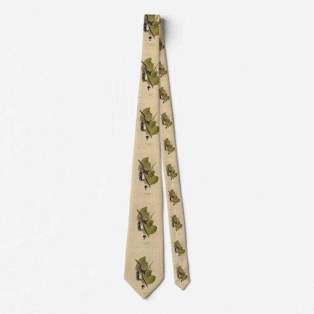 White-crowned Sparrow - Audubon's Birds of America Tie (Front)
