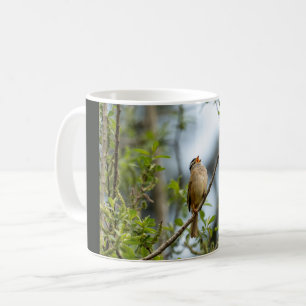 White-crowned Sparrow – Fine Art Bird Photography Coffee Mug