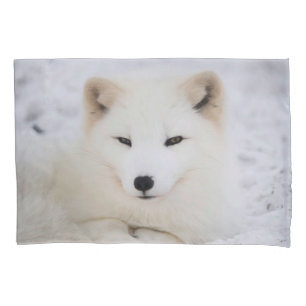 White cute fox in snow looking at you pillowcase