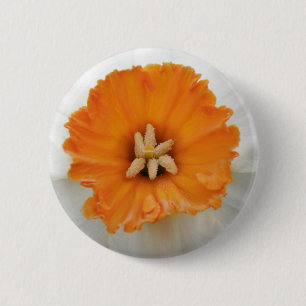 White Daffodil Button