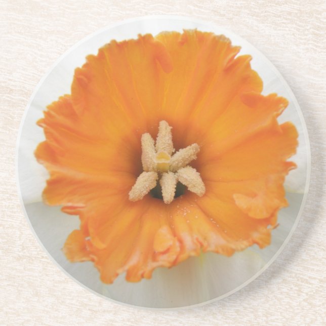 White Daffodil Coasters (Front)