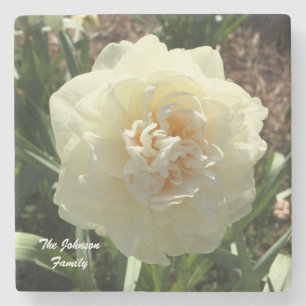 White Daffodil Customise your family Stone Coaster