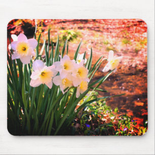 White Daffodil Flowers By Brook  Mouse Pad