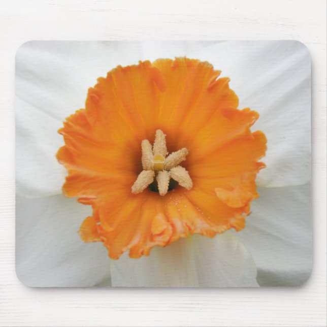 White daffodil Mousepad (Front)