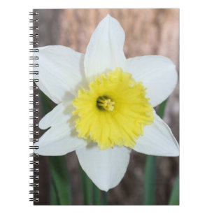 White Daffodil Notebook