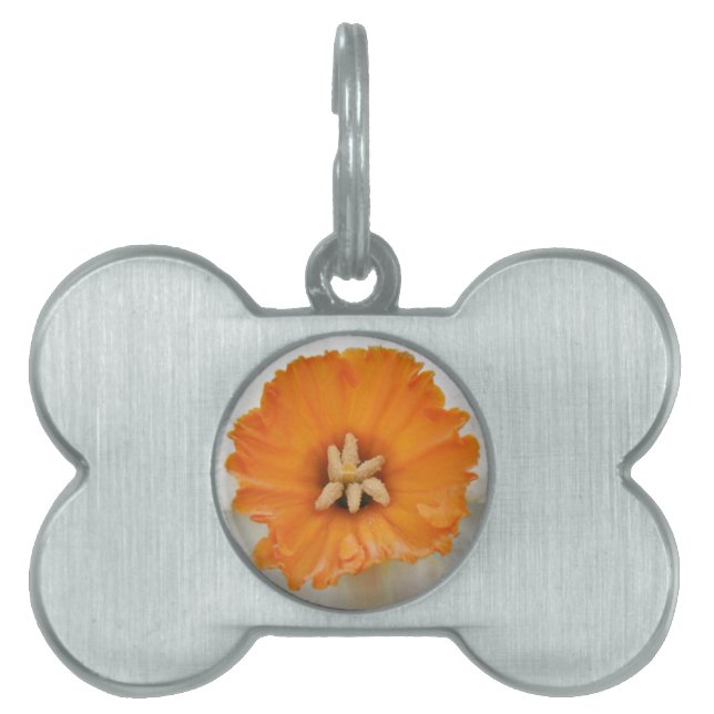 White Daffodil Pet Tag (Front)