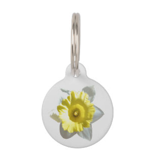 White Daffodil Pet Tag