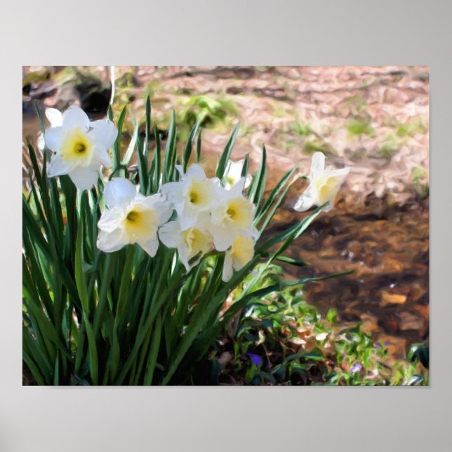 White Daffodils By Brook Oil Painting Poster (Front)