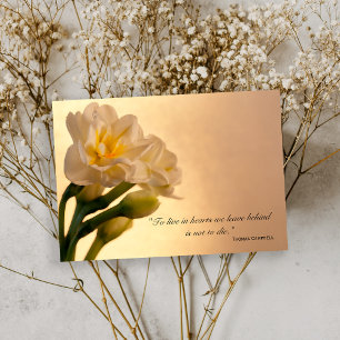 White Daffodils Thank You for Your Sympathy Card