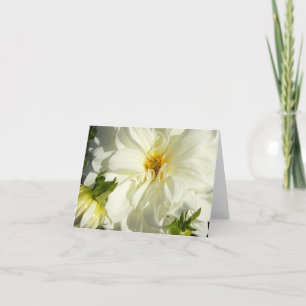 White Dahlia Card