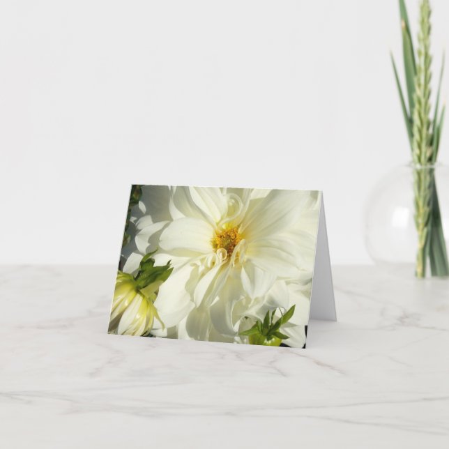 White Dahlia Card (Front)