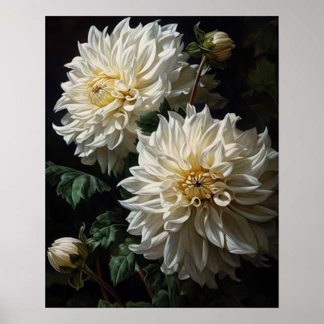 White Dahlia Flowers Art Print Poster (Front)