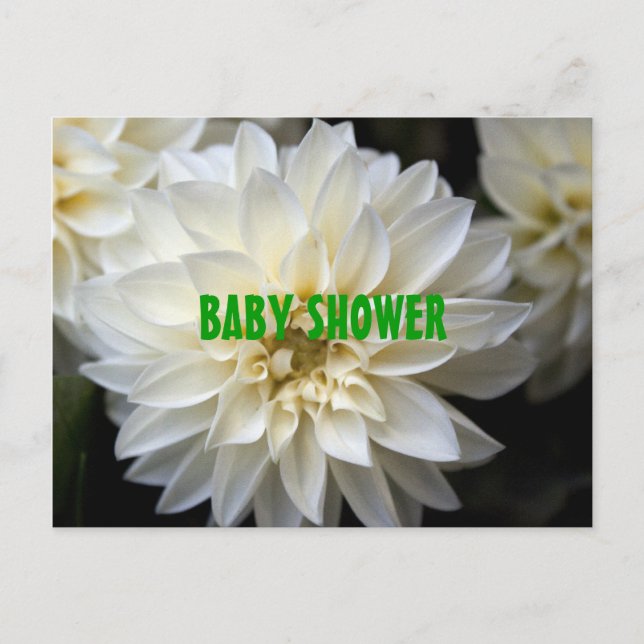 white dahlia flowers  baby shower invitation (Front)