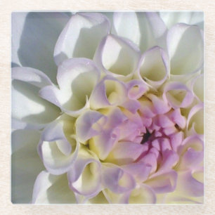White Dahlia Glass Coaster