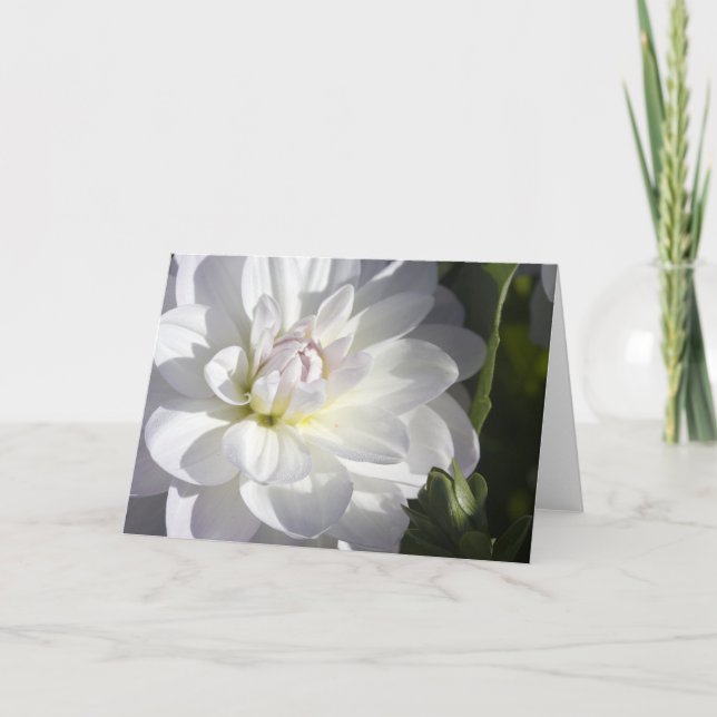 White dahlia greeting card (Front)