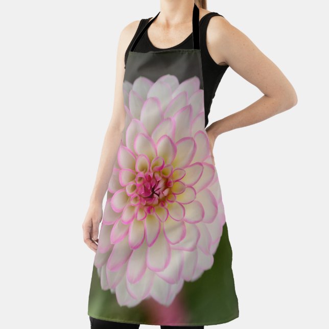 White Dahlia with pink rim flower Apron (Insitu)