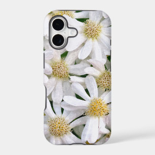 White dahlias
