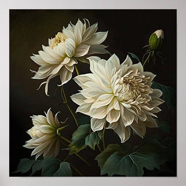 White Dahlias Flower Art Print Poster (Front)