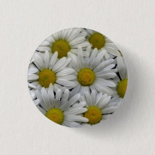 White Daisies 3 Cm Round Badge