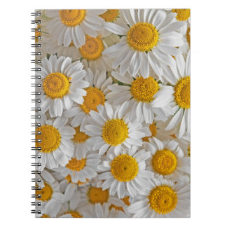 White Daisies: Beautiful Floral Background Notebook
