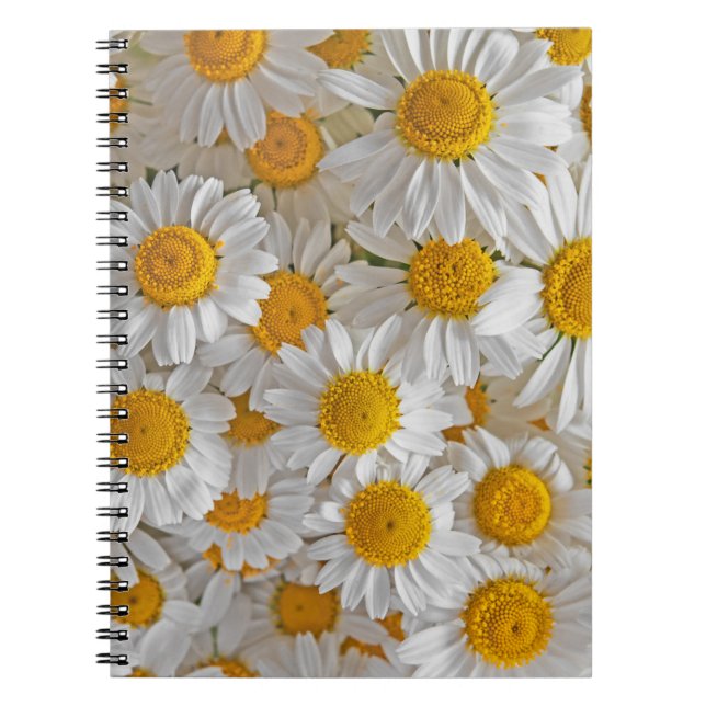 White Daisies: Beautiful Floral Background Notebook (Front)