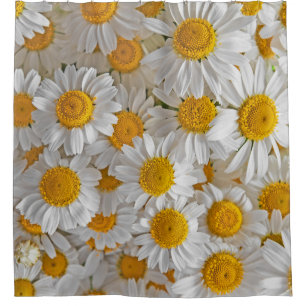 White Daisies: Beautiful Floral Background Shower Curtain