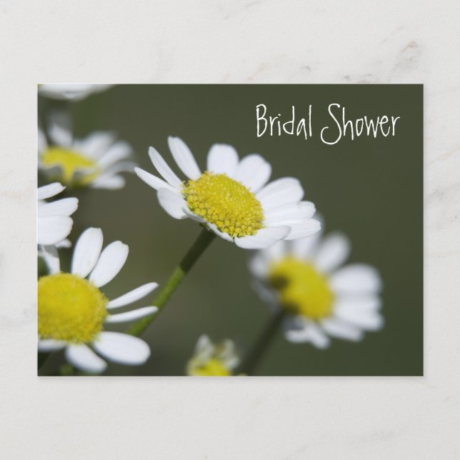 White Daisies Bridal Shower Invitation (Front)